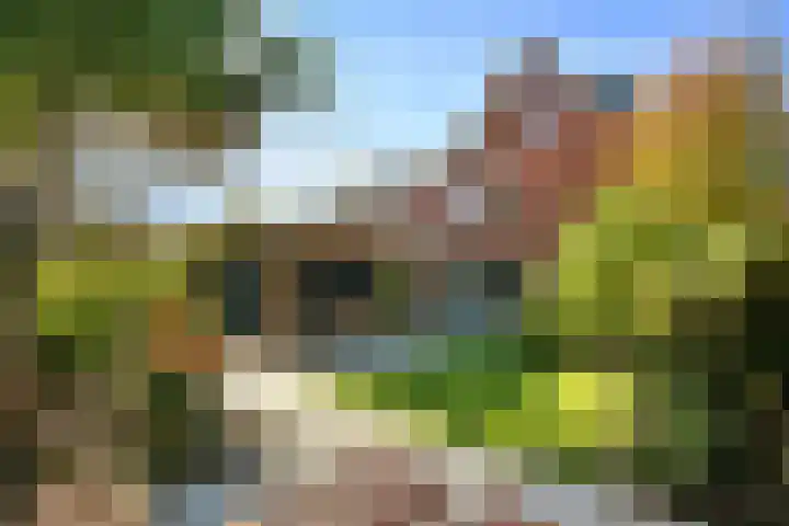 Aureus 80 Elst foto 2