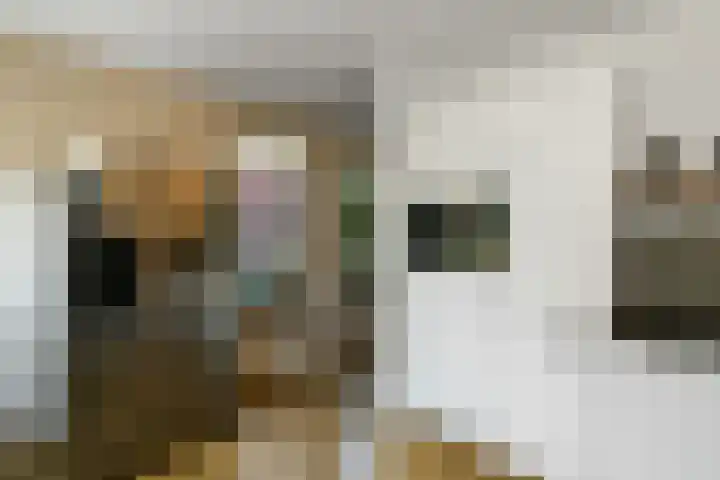 Aureus 80 Elst thumbnail 20