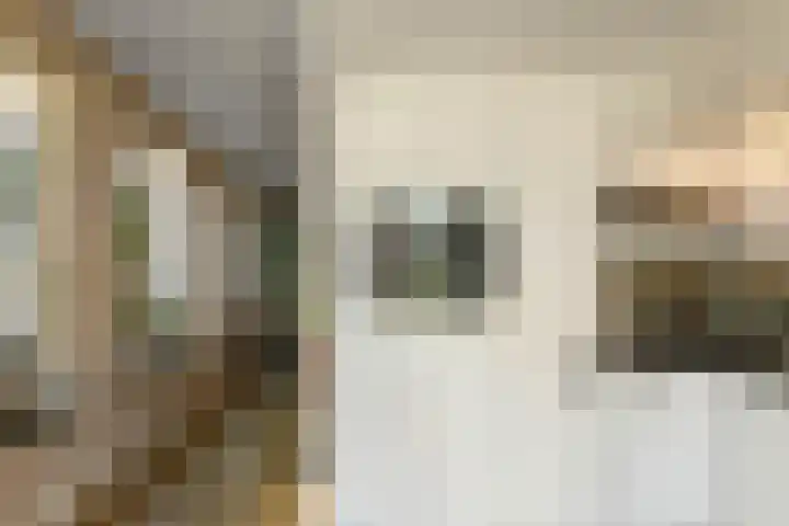 Aureus 80 Elst thumbnail 21