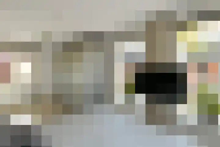 Aureus 80 Elst thumbnail 25