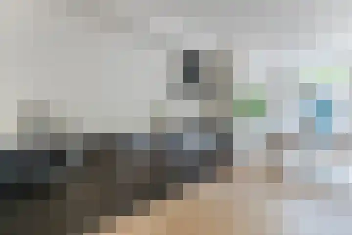 Aureus 80 Elst thumbnail 26