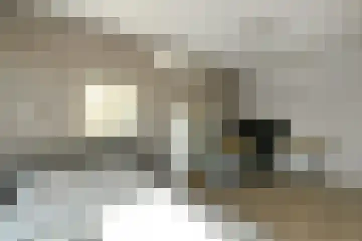 Aureus 80 Elst thumbnail 28