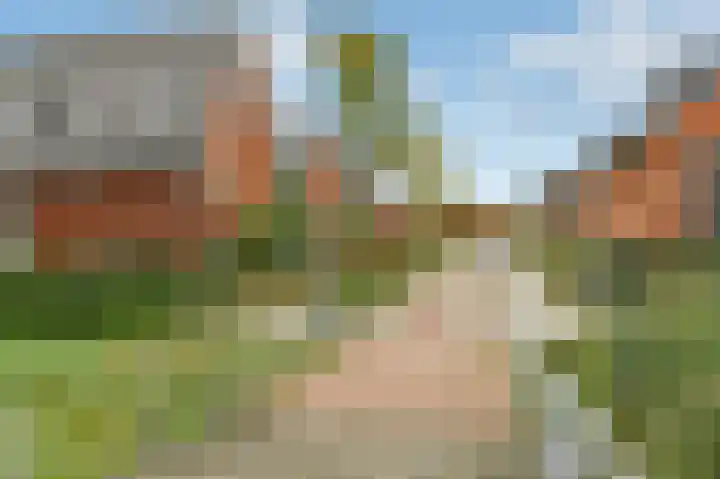 Aureus 80 Elst foto 3