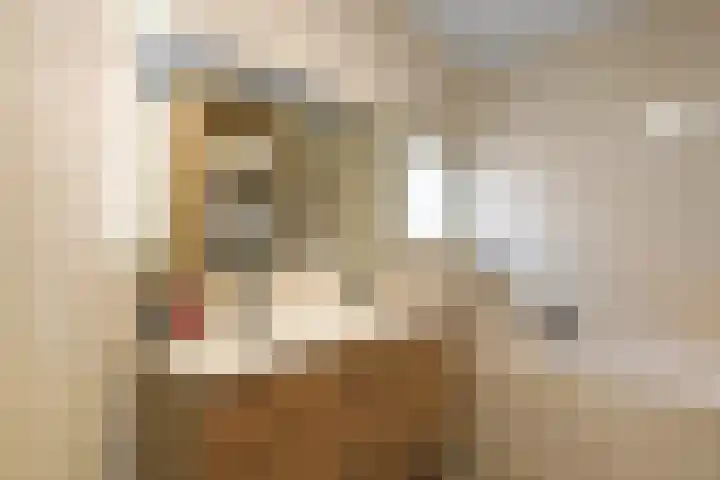 Aureus 80 Elst thumbnail 31