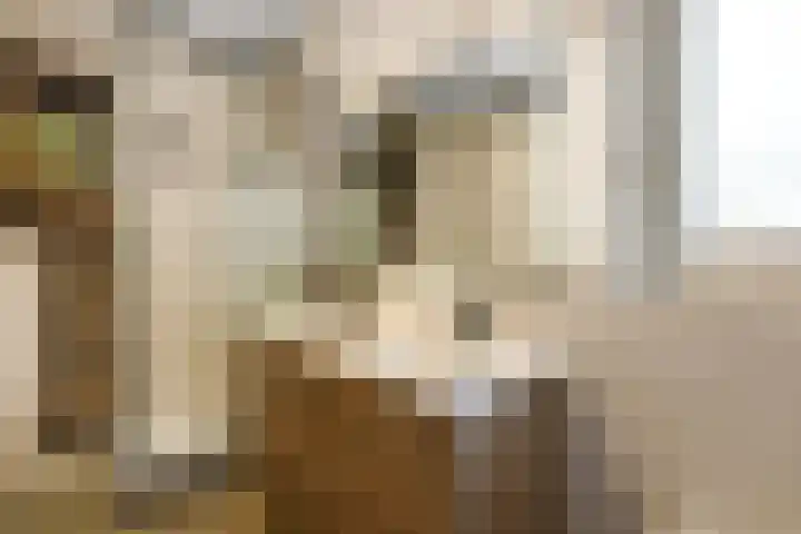 Aureus 80 Elst thumbnail 32