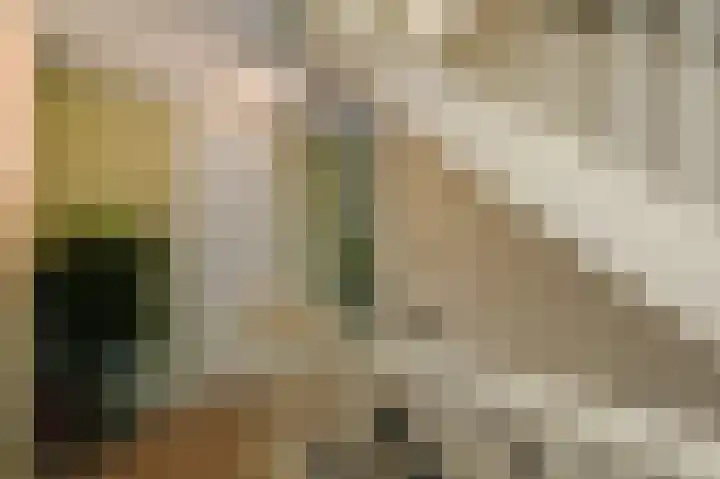 Aureus 80 Elst thumbnail 36