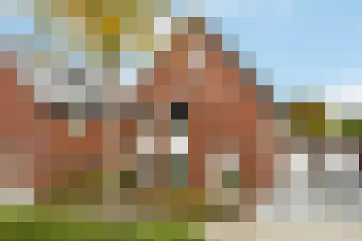 Aureus 80 Elst thumbnail 4