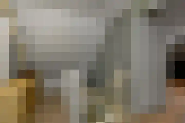 Aureus 80 Elst thumbnail 40