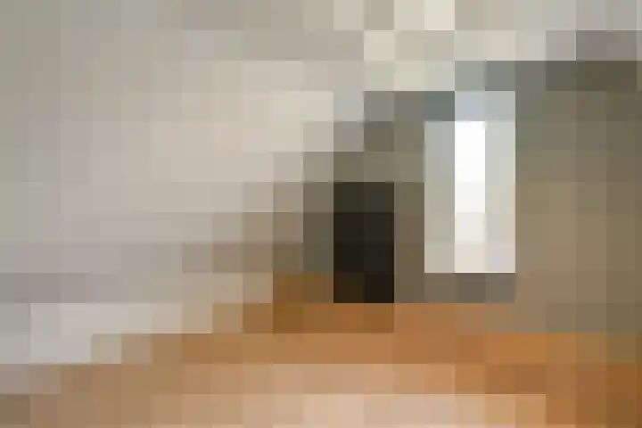 Aureus 80 Elst thumbnail 41