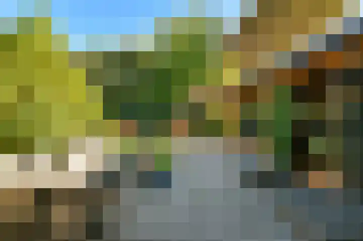 Aureus 80 Elst thumbnail 43