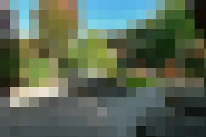 Aureus 80 Elst thumbnail 44