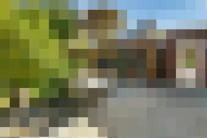 Aureus 80 Elst thumbnail 45