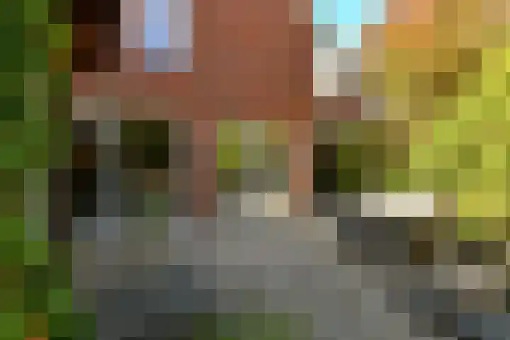Aureus 80 Elst thumbnail 46