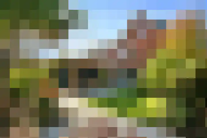 Aureus 80 Elst thumbnail 47