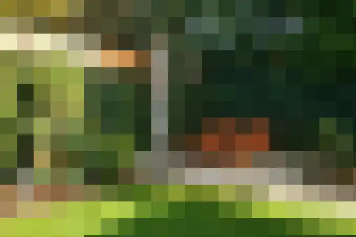 Aureus 80 Elst thumbnail 48