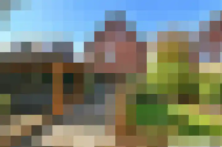 Aureus 80 Elst thumbnail 49