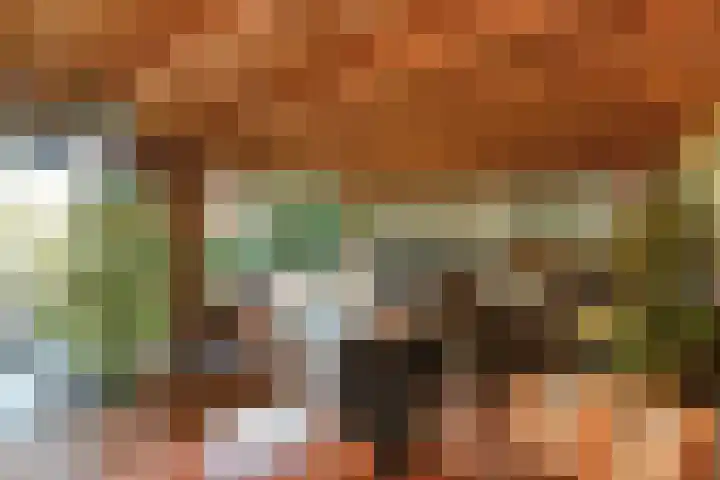 Aureus 80 Elst thumbnail 50