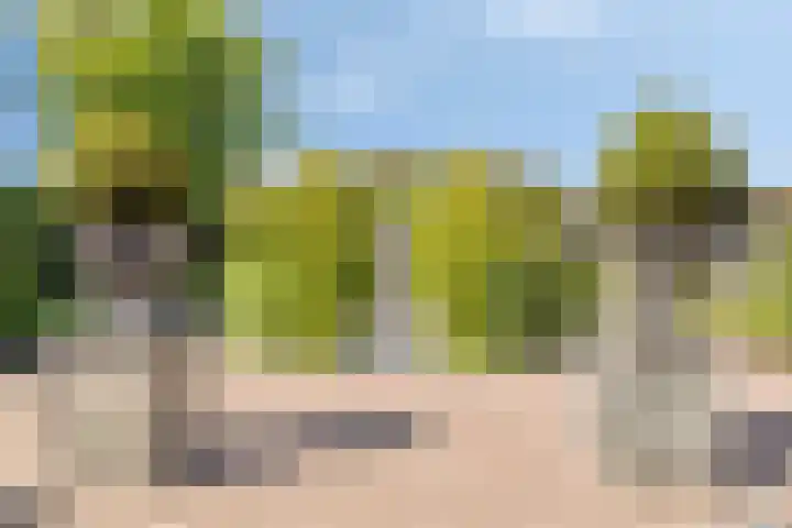 Aureus 80 Elst thumbnail 51