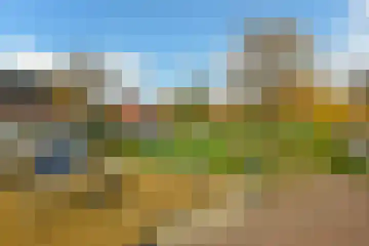 Aureus 80 Elst thumbnail 52