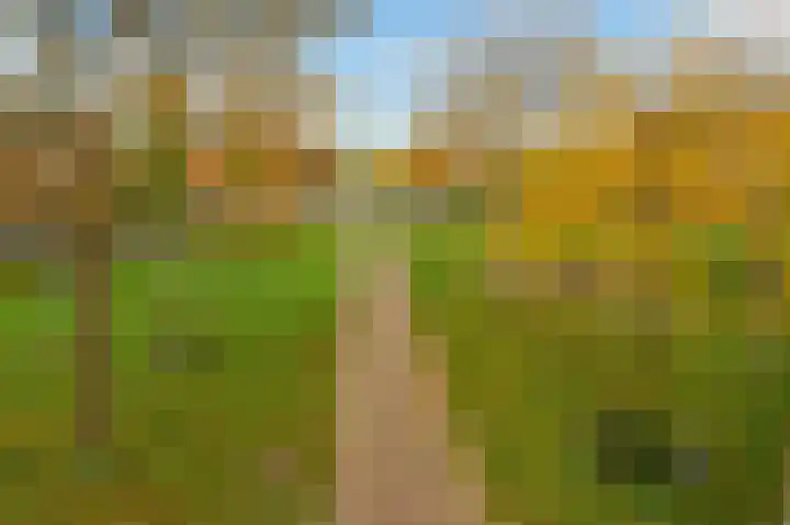 Aureus 80 Elst thumbnail 53