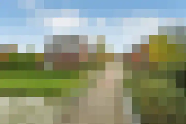 Aureus 80 Elst thumbnail 54