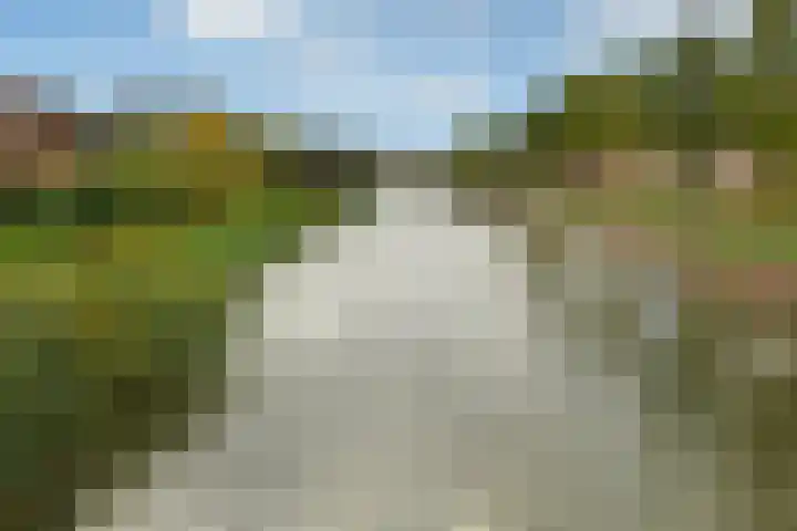 Aureus 80 Elst thumbnail 55