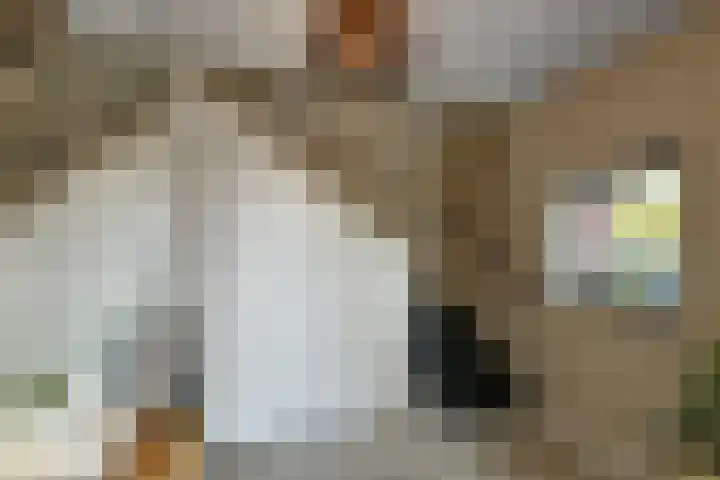 Aureus 80 Elst thumbnail 8