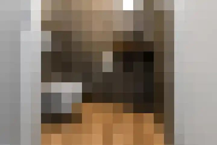 Aureus 80 Elst thumbnail 9