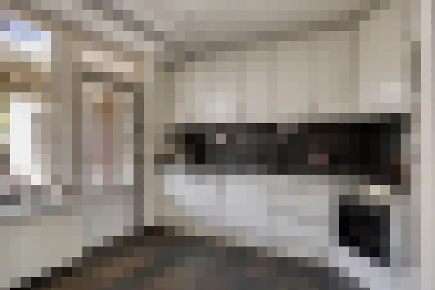 Auriga 2 Veldhoven thumbnail 13