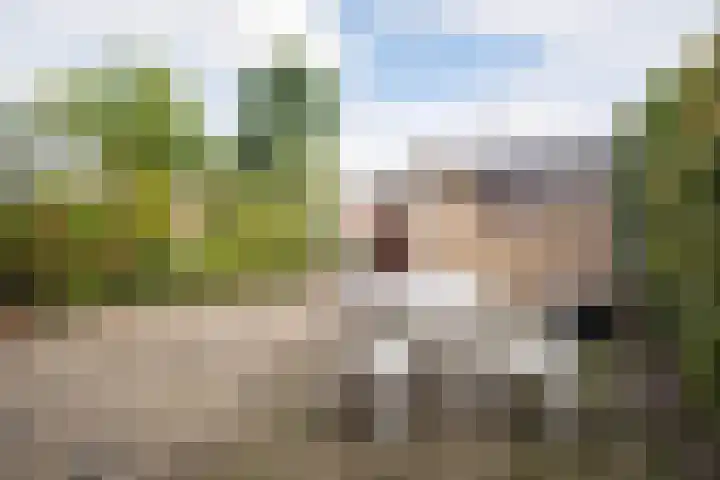 Auriga 7 Veldhoven thumbnail 30