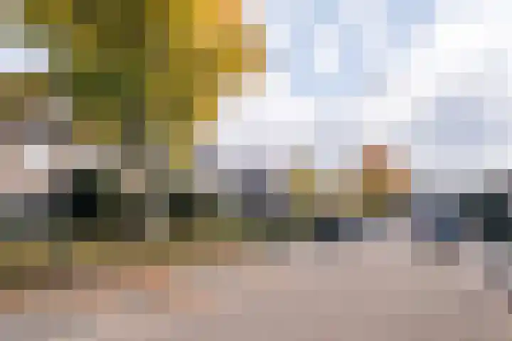 Auriga 7 Veldhoven thumbnail 35