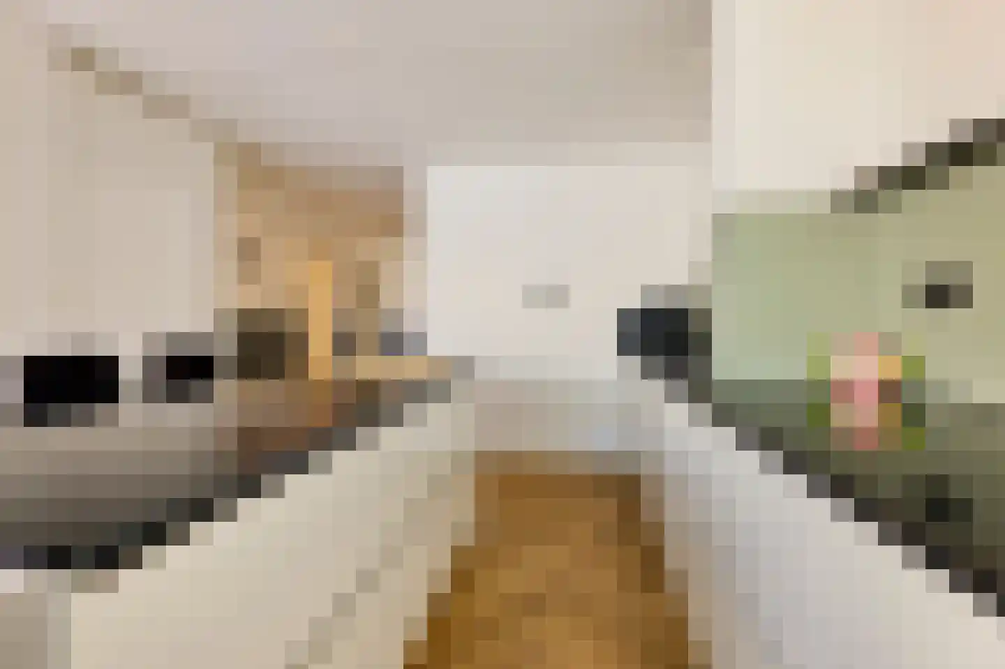 Aurikelstraat 105 Amsterdam thumbnail 12