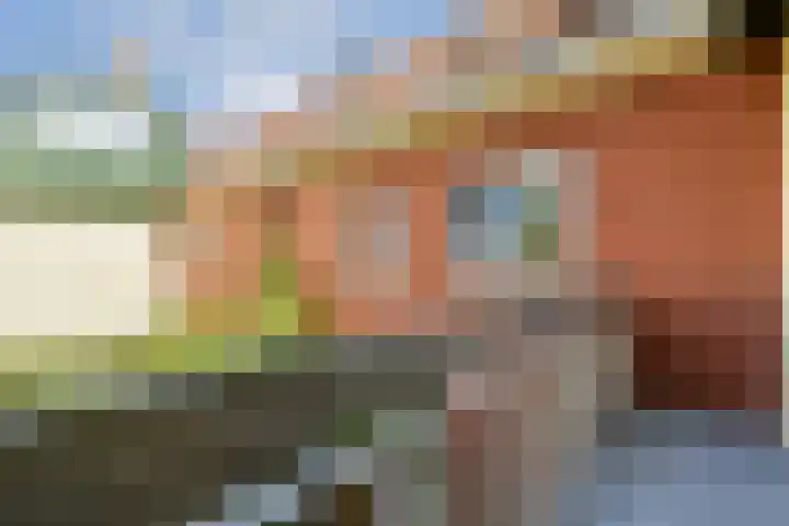 Aurikelstraat 21 Amsterdam thumbnail 14