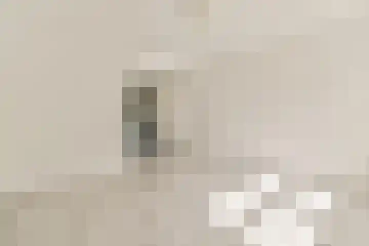 Aurikelstraat 21 Amsterdam thumbnail 9