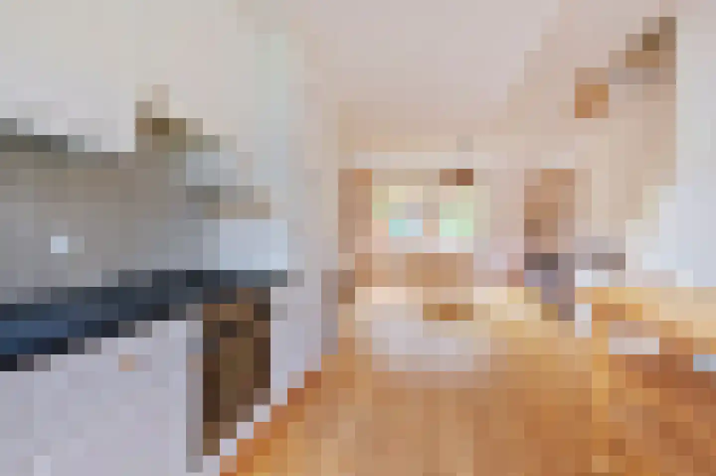 Aurikelstraat 39 Amsterdam thumbnail 10
