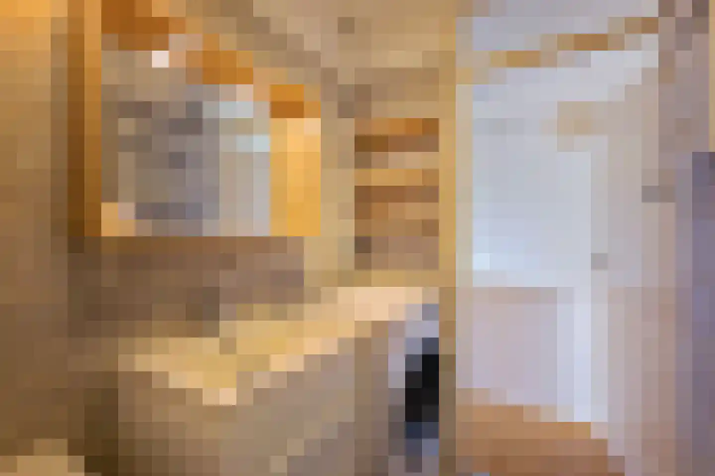 Aurikelstraat 39 Amsterdam thumbnail 26