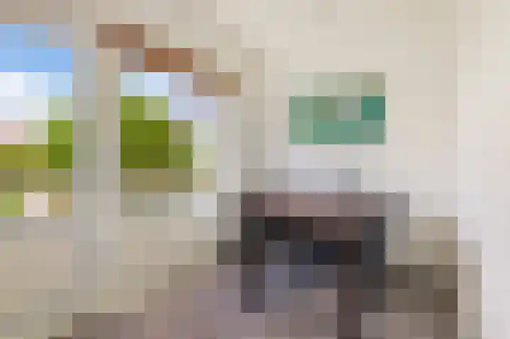 Aurikelstraat 7 Amsterdam thumbnail 7