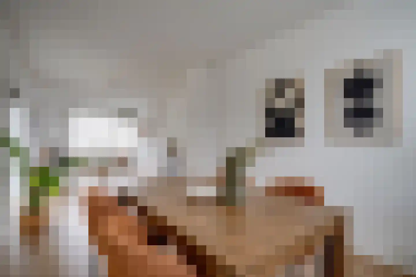 Auriollaan 104 Utrecht thumbnail 10