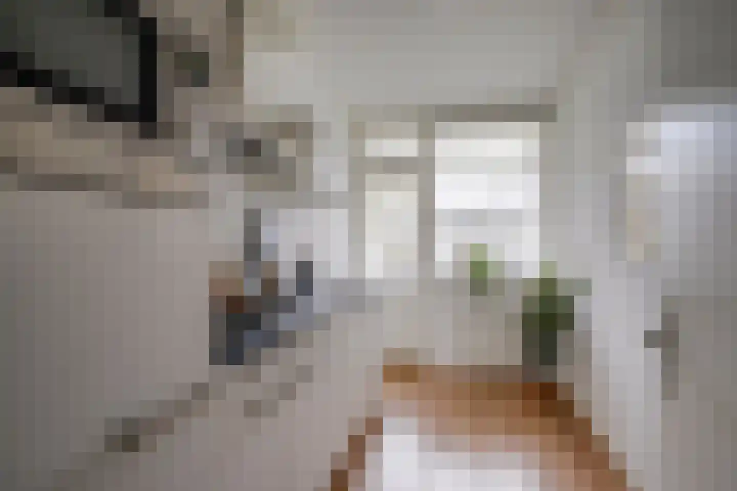 Auriollaan 104 Utrecht thumbnail 13