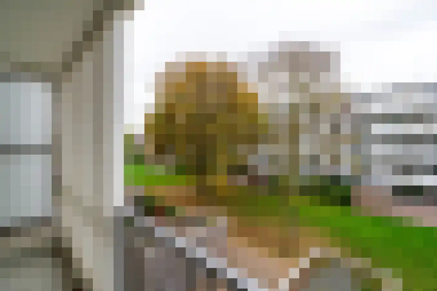 Auriollaan 104 Utrecht thumbnail 17