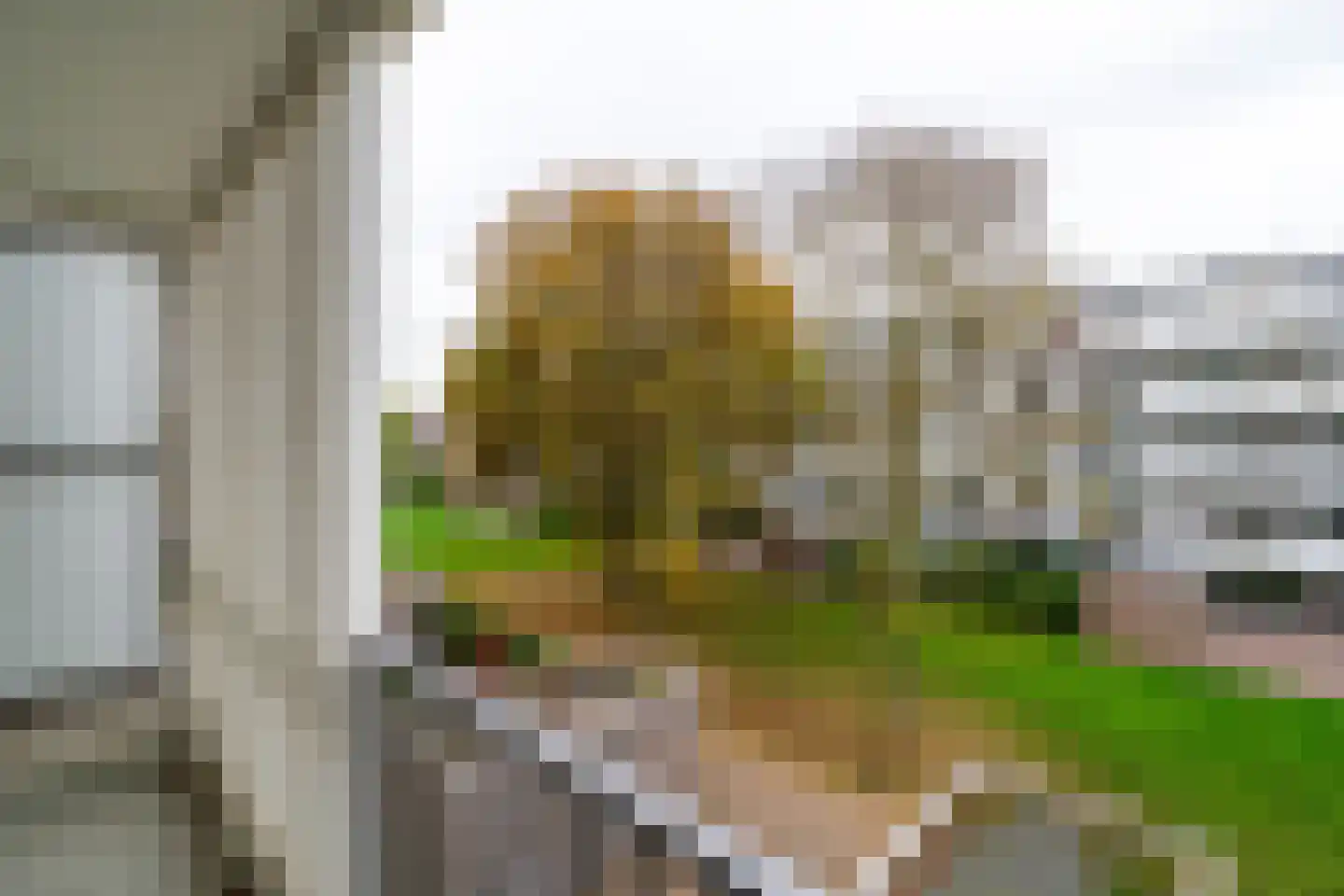 Auriollaan 104 Utrecht thumbnail 17