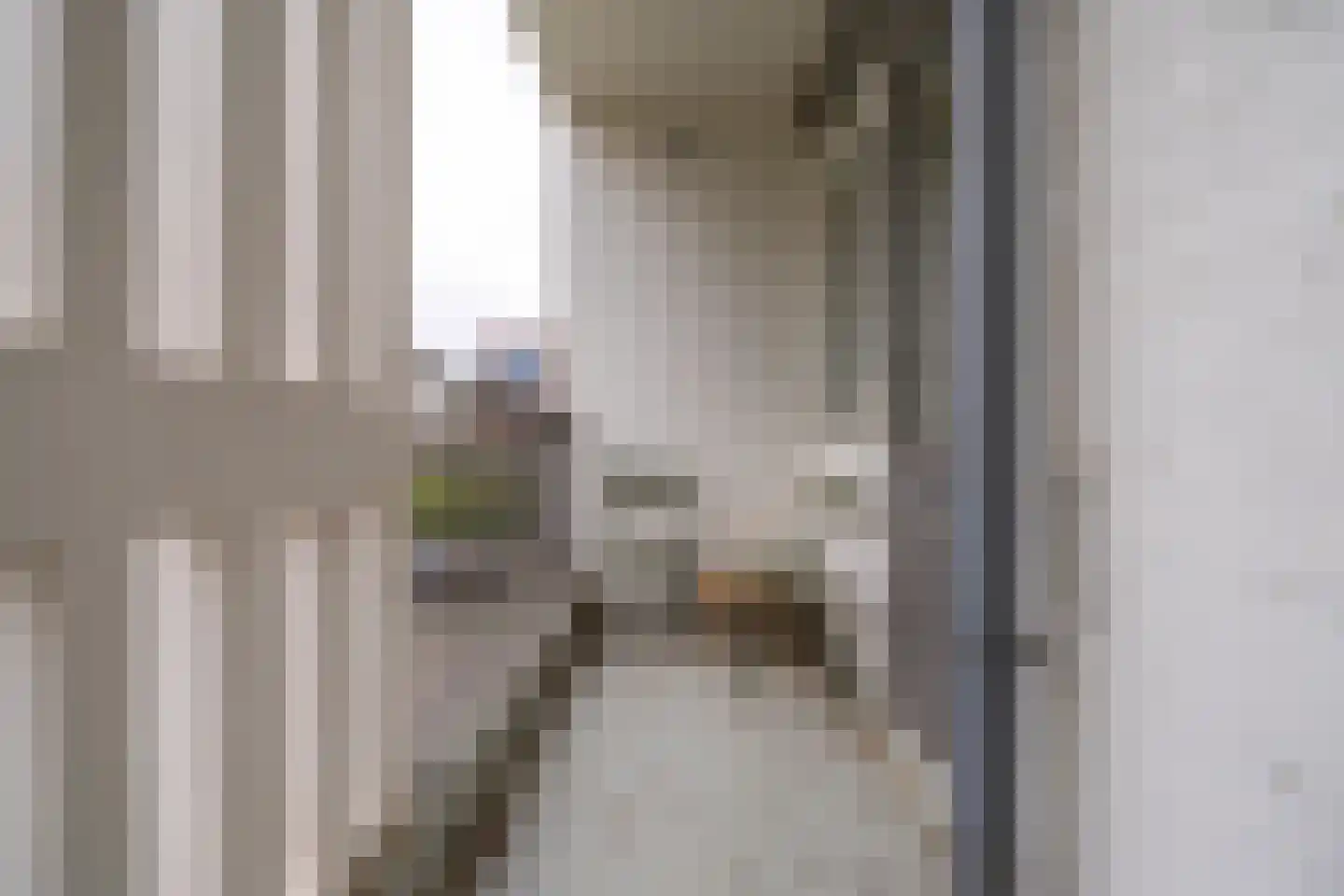 Auriollaan 104 Utrecht thumbnail 18
