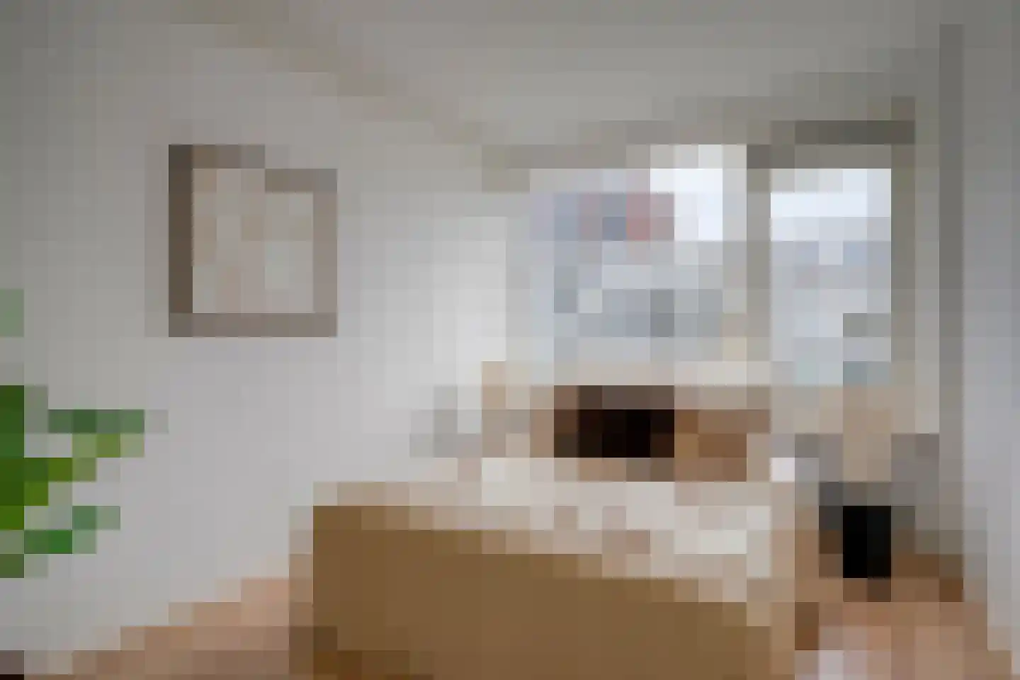 Auriollaan 104 Utrecht thumbnail 21