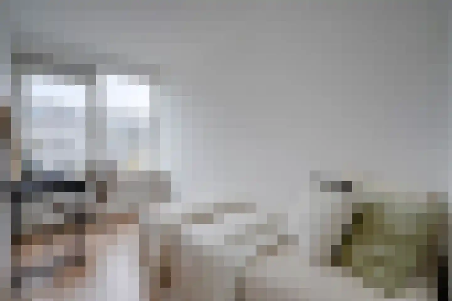 Auriollaan 104 Utrecht thumbnail 25
