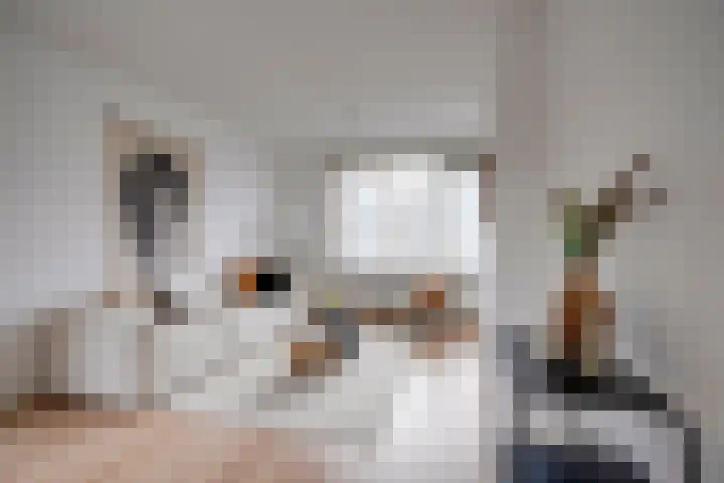 Auriollaan 104 Utrecht thumbnail 4