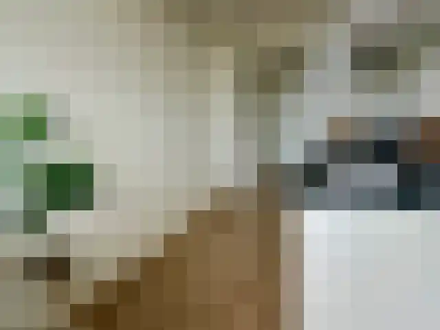 Auriollaan 16 Utrecht thumbnail 10