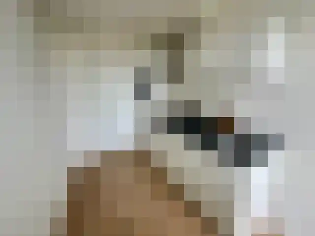 Auriollaan 16 Utrecht thumbnail 11