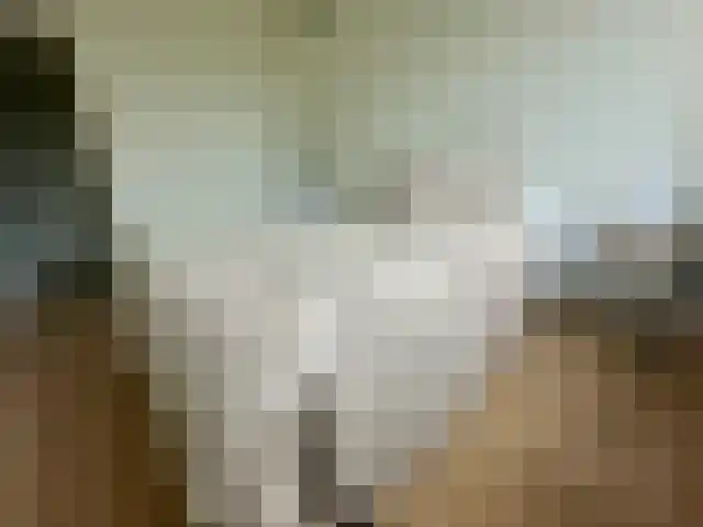 Auriollaan 16 Utrecht thumbnail 8
