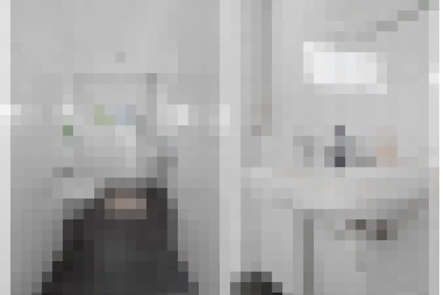 Auriollaan 20 Utrecht thumbnail 36