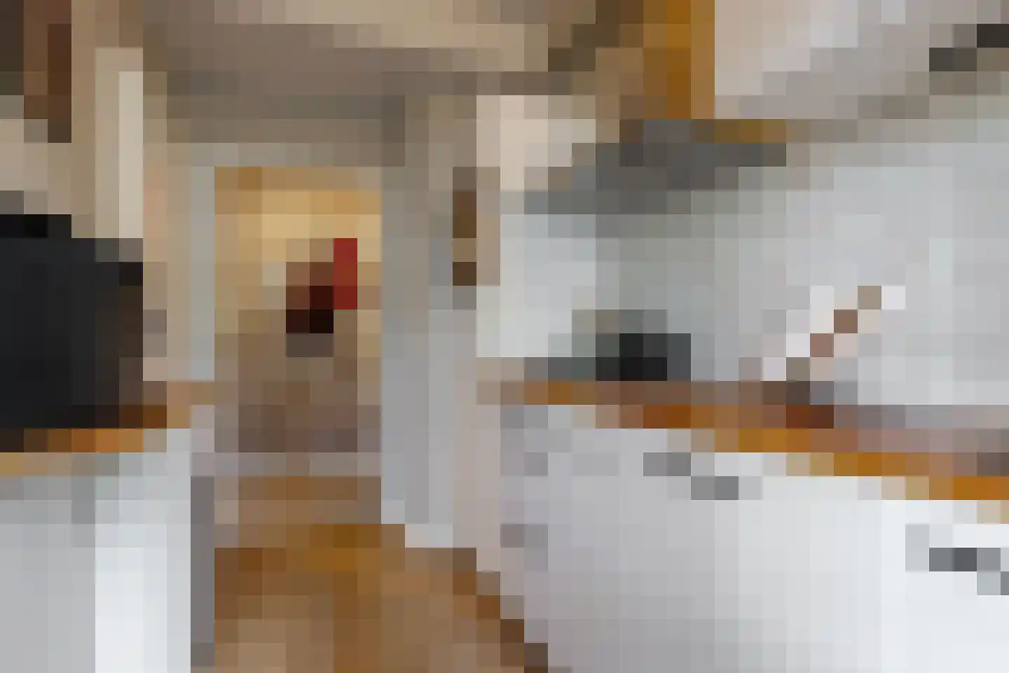 Auriollaan 21 Utrecht thumbnail 10